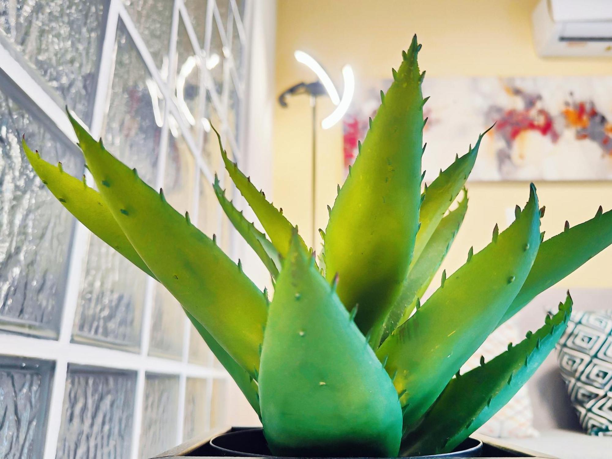 Costamare Boutiqueapart-Where Luxury Meets Comfort Rhodes City エクステリア 写真